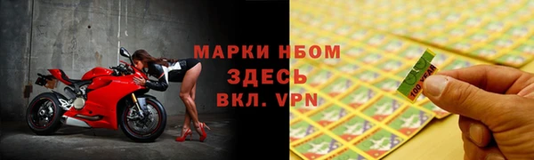 стаф Тобольск