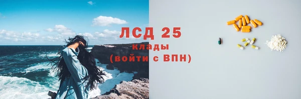 стаф Алзамай