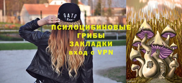 стаф Тобольск