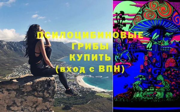 PSILOCYBIN Тихвин