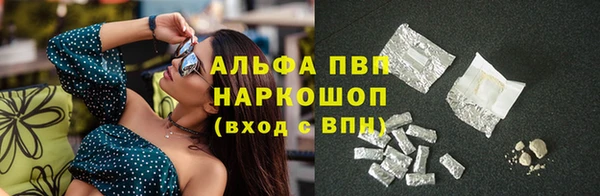 PSILOCYBIN Тихвин