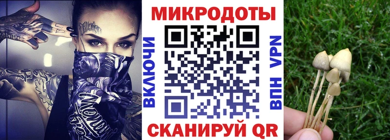 Псилоцибиновые грибы GOLDEN TEACHER  Чаплыгин 